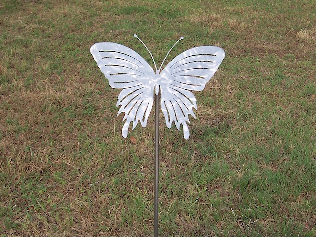 16" X 16" Butterfly